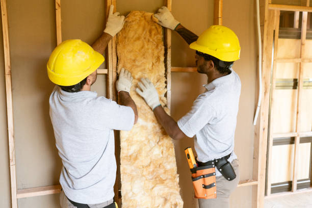Best Wall Insulation Contractor  in Labarque Creek, MO