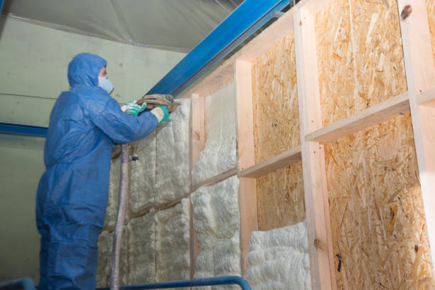 Best Energy-efficient Insulation  in Labarque Creek, MO