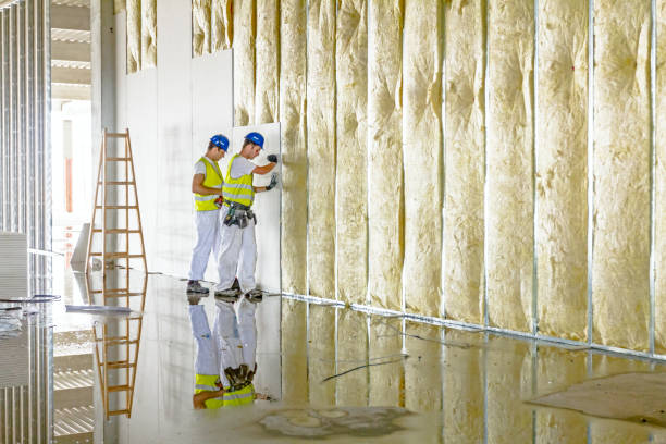 Best Garage Insulation Installation  in Labarque Creek, MO